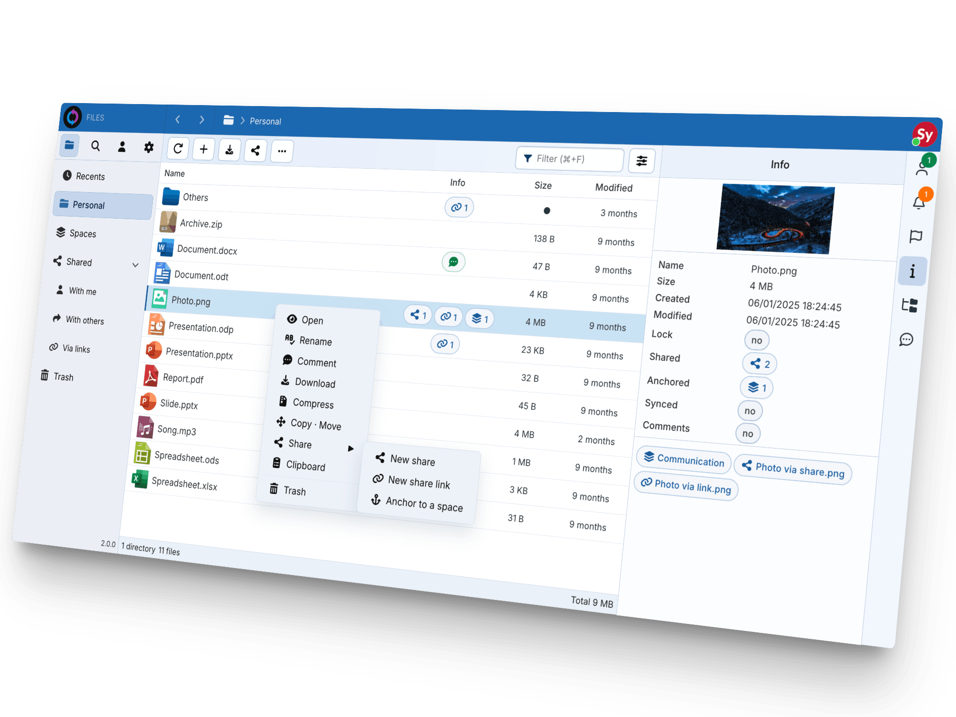 Sync-in file management interface