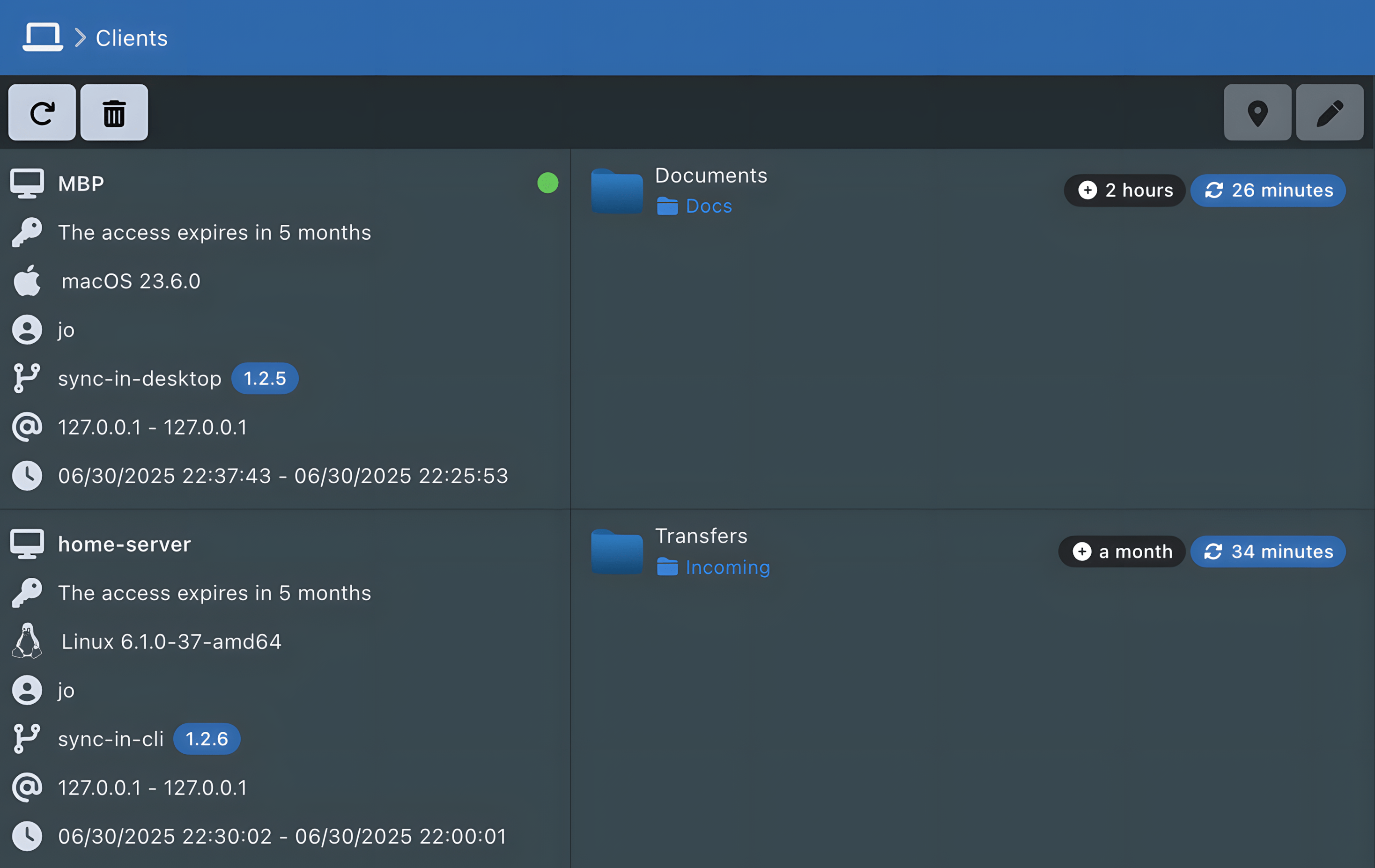 Sync-in application clients and synchronization paths